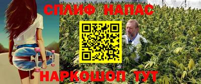 гашиш Новокубанск