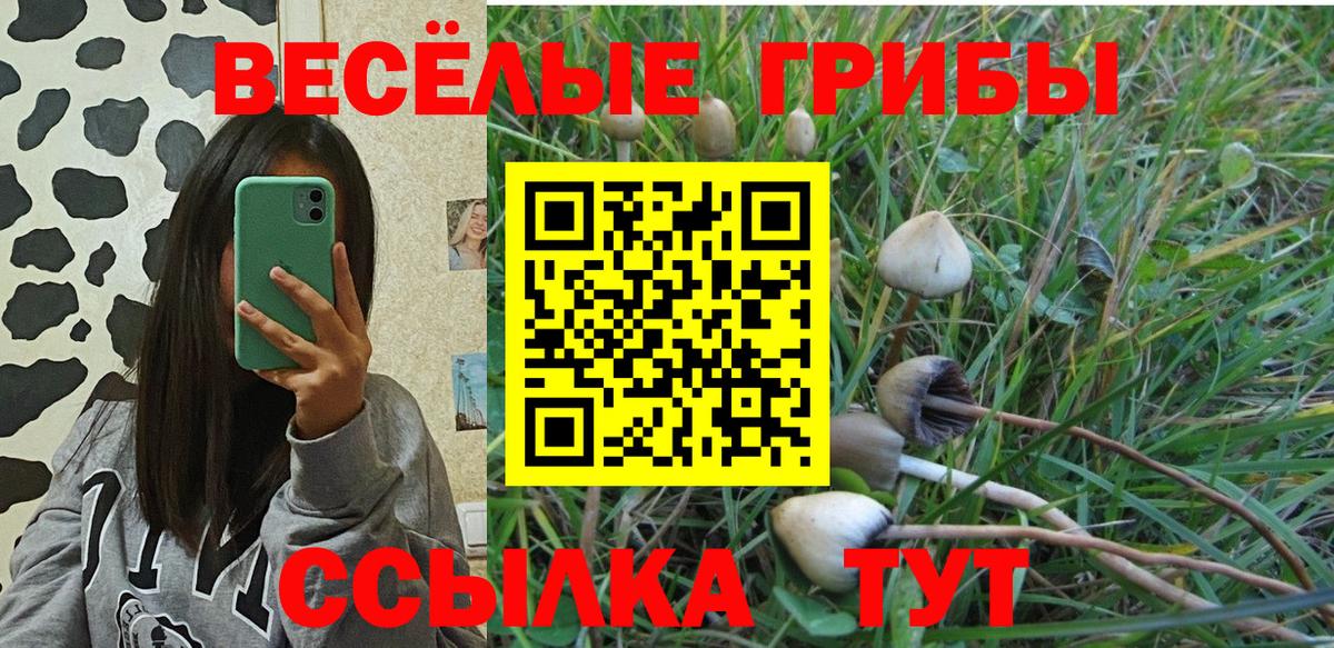 Галлюциногенные грибы мухоморы Татарск
